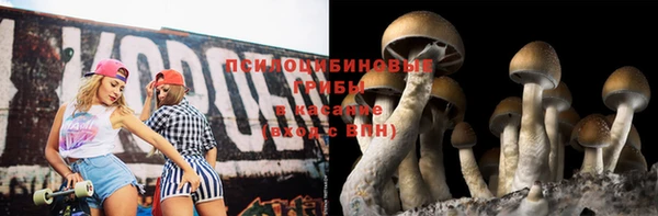 дживик Новодвинск