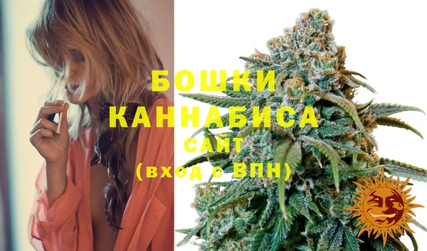 apvp Новозыбков