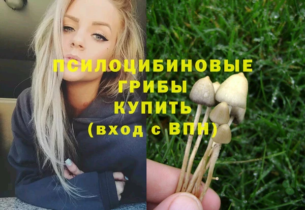 ешки Новокубанск