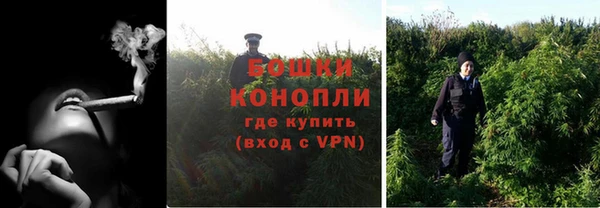 apvp Новозыбков