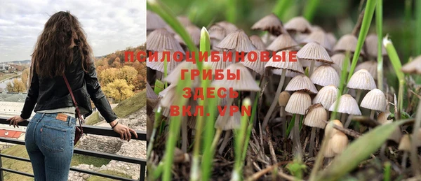 дживик Новодвинск