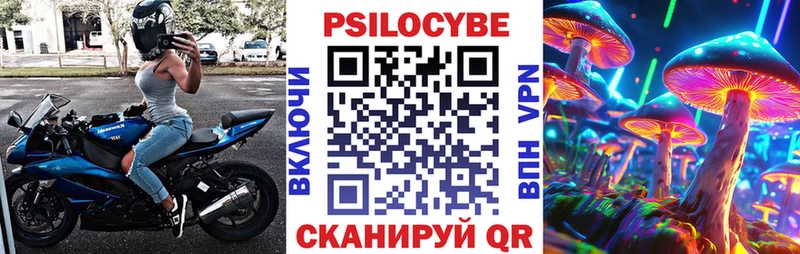 Галлюциногенные грибы Psilocybine cubensis  Кондопога 