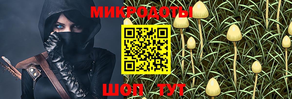 Псилоцибиновые грибы мухоморы Кондопога