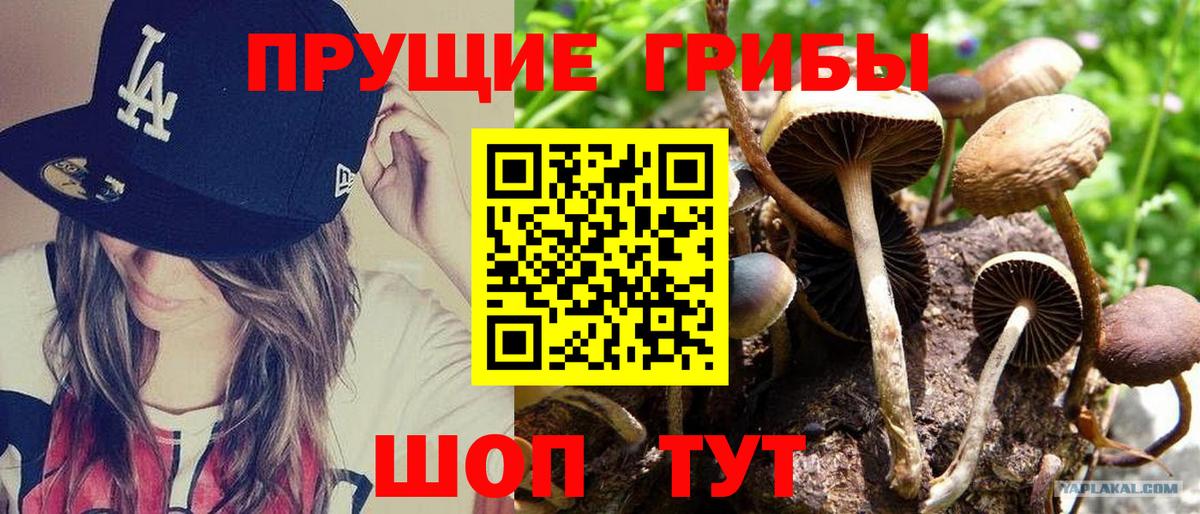 Галлюциногенные грибы Magic Shrooms  Вход с VPN  Кондопога 