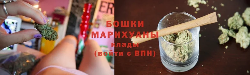 Шишки марихуана индика  маркетплейс официальный сайт  Кондопога 