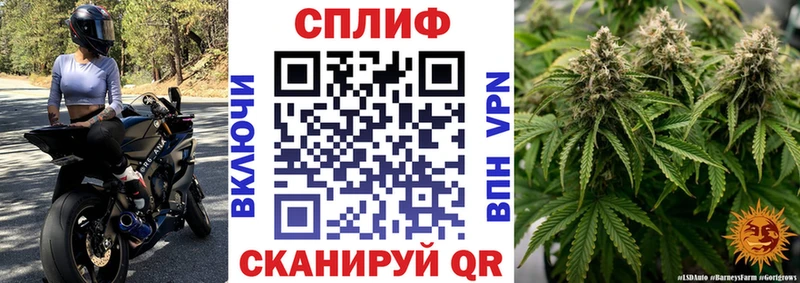 кракен ССЫЛКА  хочу   Кондопога  Шишки марихуана OG Kush 
